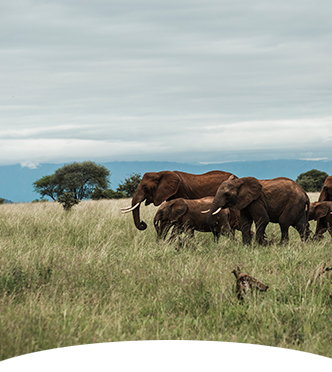 Botswana